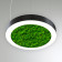 Светодиодный светильник RVE-LBX-MOSS-RING